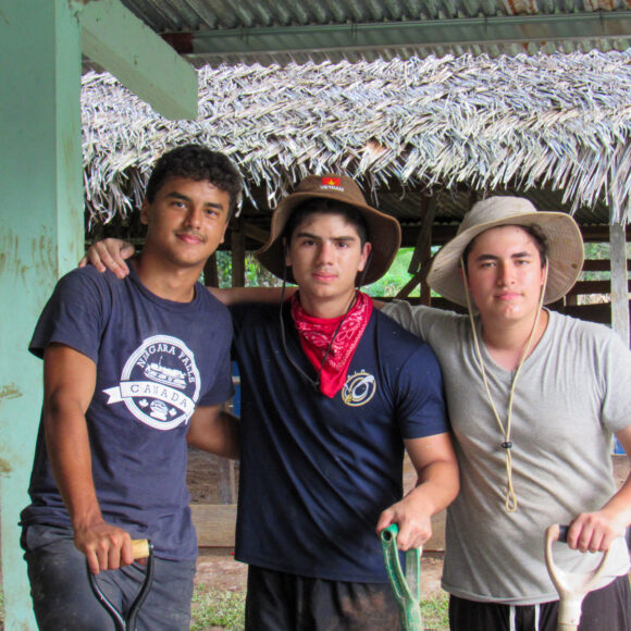 Servicio Social 2024