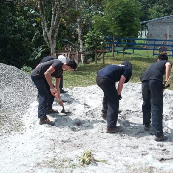 Servicio Social 2024