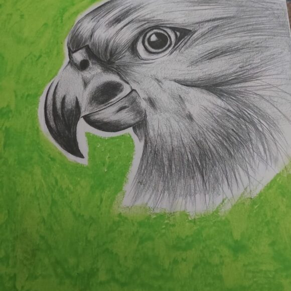 Clase de Dibujo Artístico – promoción 2024