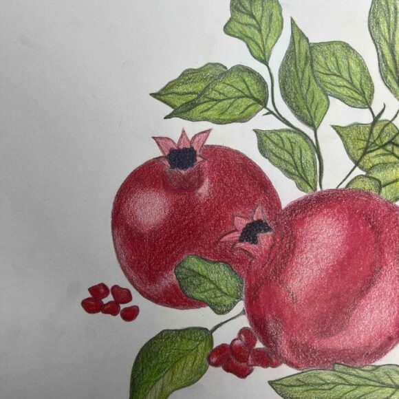 Clase de Dibujo Artístico – promoción 2024