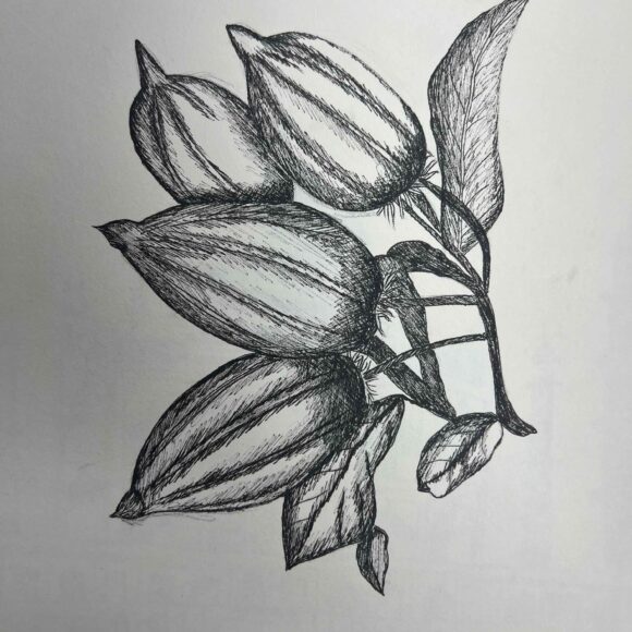 Clase de Dibujo Artístico – promoción 2024