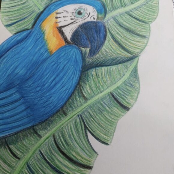 Clase de Dibujo Artístico – promoción 2024