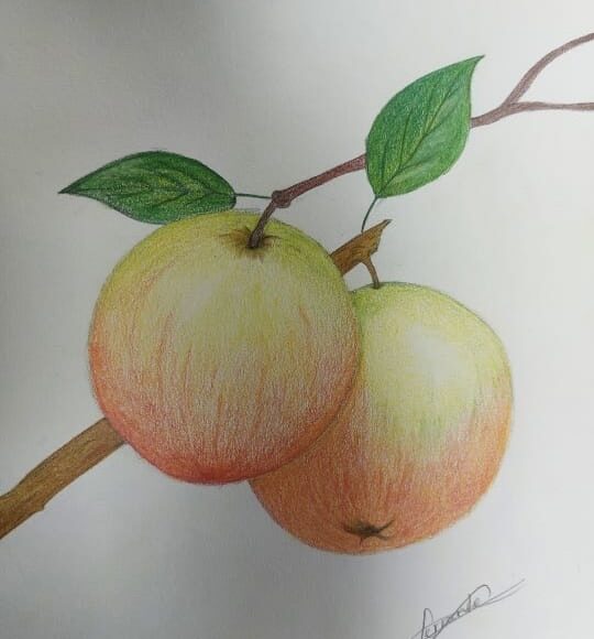 Clase de Dibujo Artístico – promoción 2024