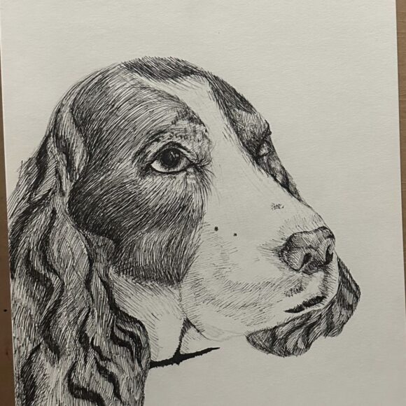 Clase de Dibujo Artístico – promoción 2024